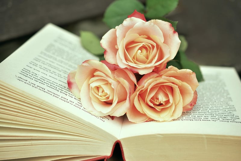 Time Travel Books